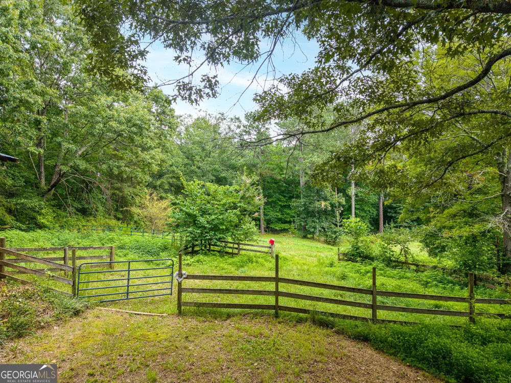 25 Loon Lane Ball Ground, GA 30107
