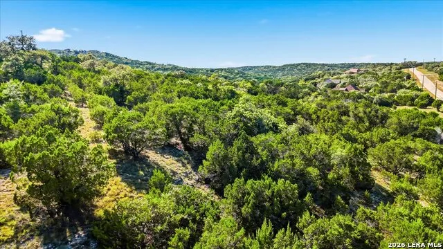 514 Canyon Rock Dr Spring Branch, TX 78070