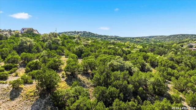 514 Canyon Rock Dr Spring Branch, TX 78070