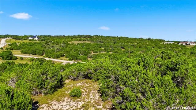 514 Canyon Rock Dr Spring Branch, TX 78070