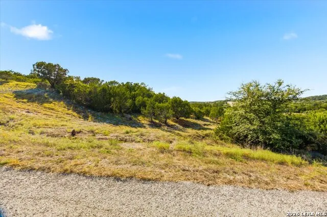 514 Canyon Rock Dr Spring Branch, TX 78070
