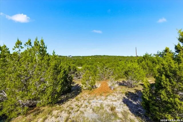 514 Canyon Rock Dr Spring Branch, TX 78070