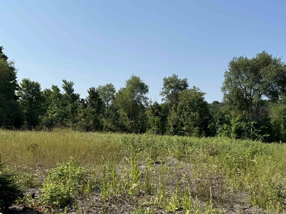 S Bright Road Kasson Township, MI 49664