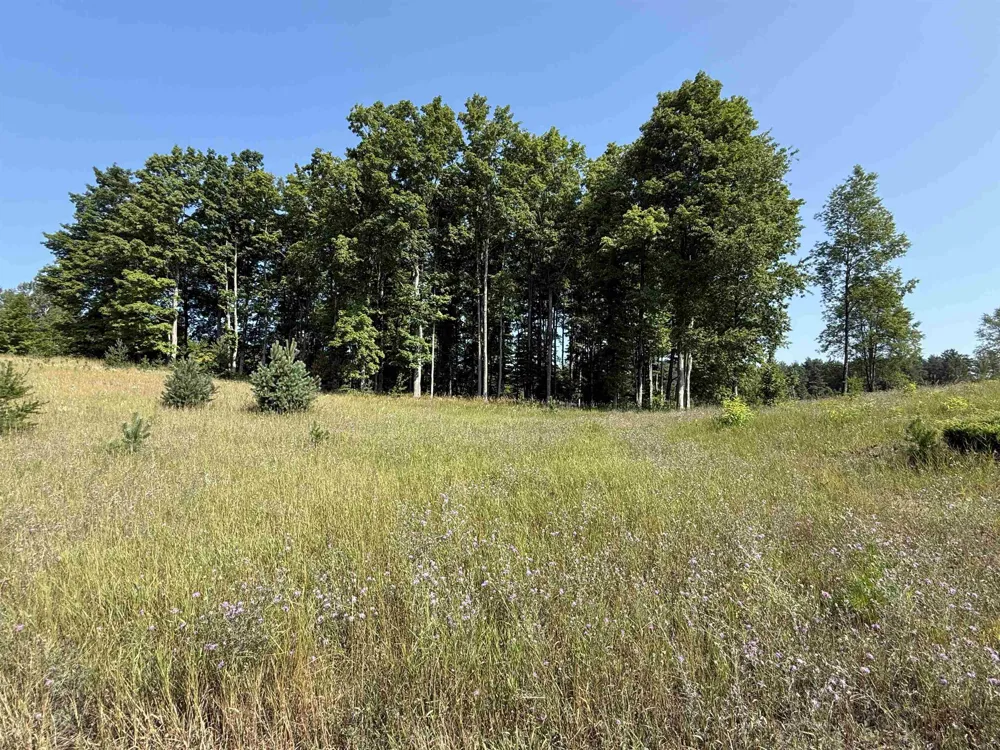 S Bright Road Kasson Township, MI 49664