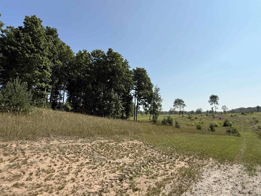 S Bright Road Kasson Township, MI 49664