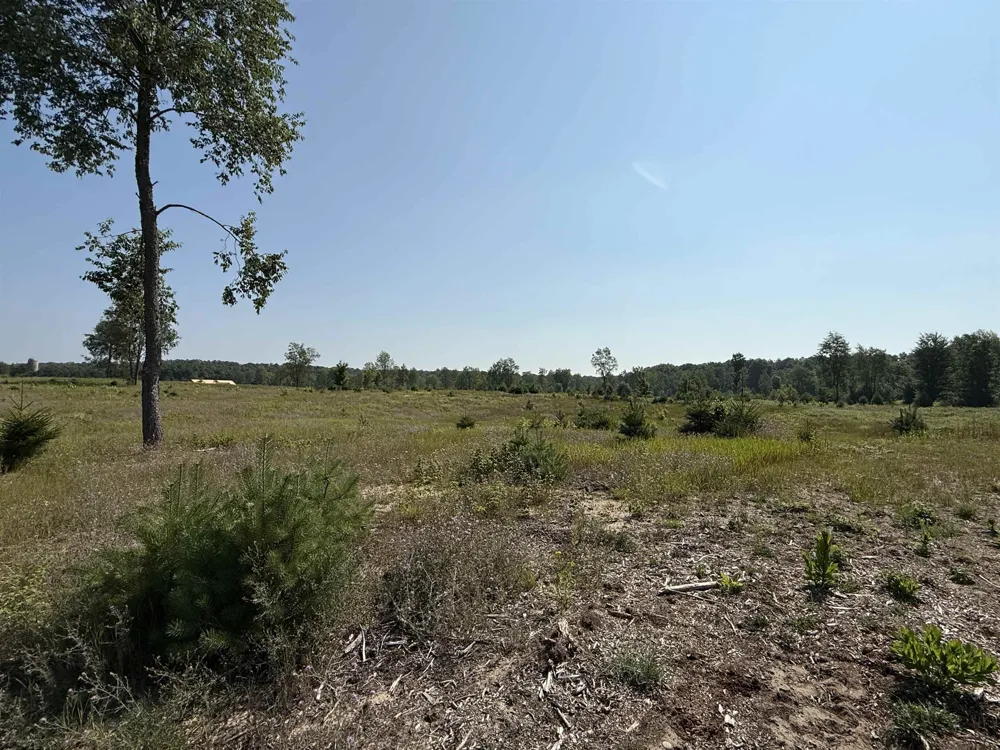 S Bright Road Kasson Township, MI 49664