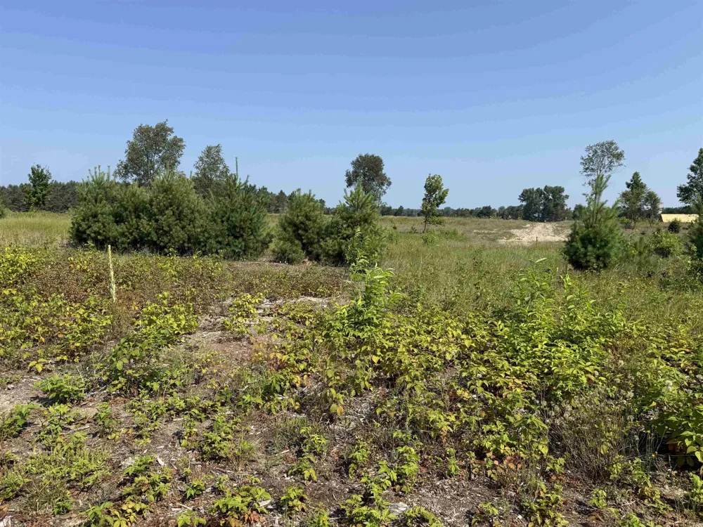 S Bright Road Kasson Township, MI 49664