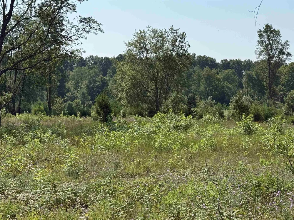 S Bright Road Kasson Township, MI 49664