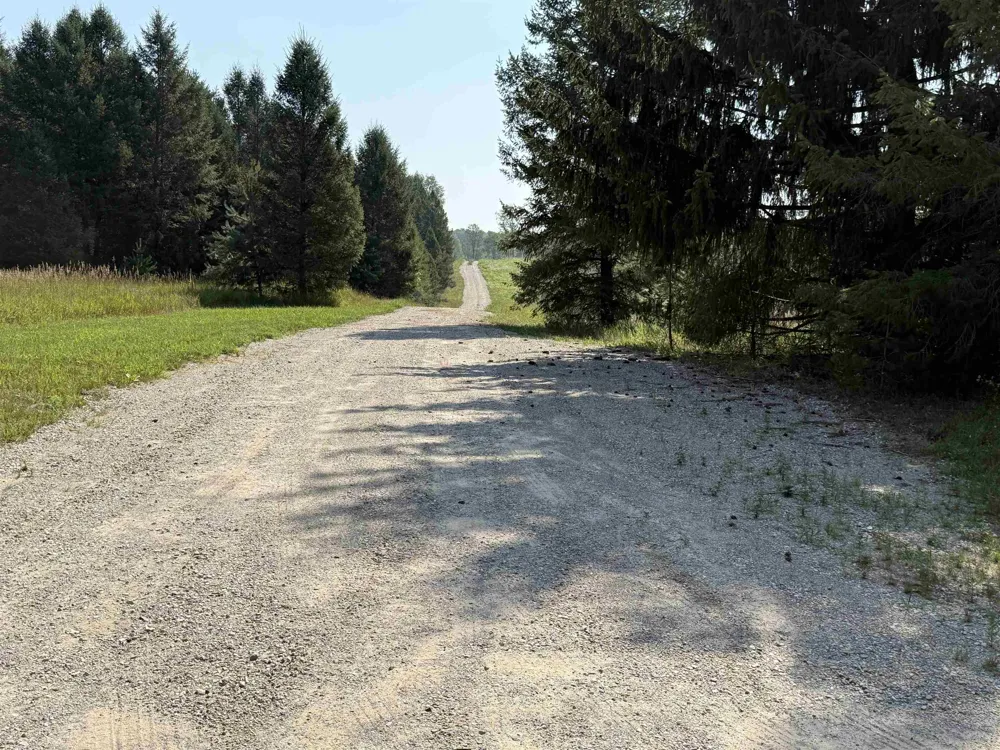 S Bright Road Kasson Township, MI 49664
