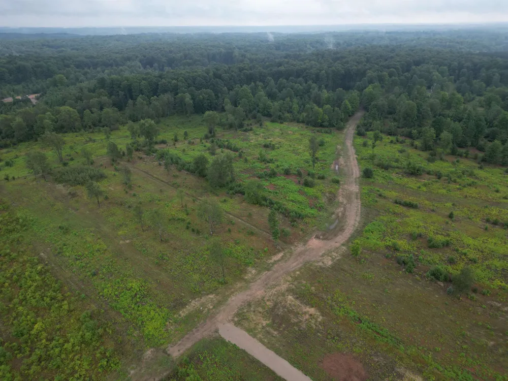 S Bright Road Kasson Township, MI 49664
