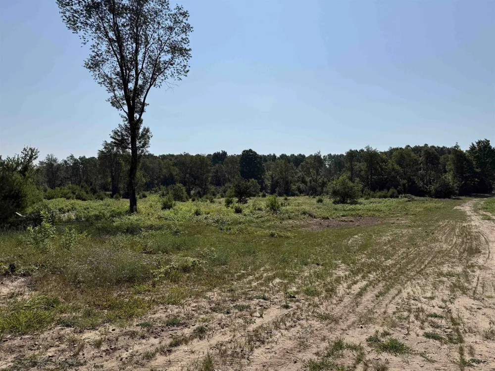 S Bright Road Kasson Township, MI 49664