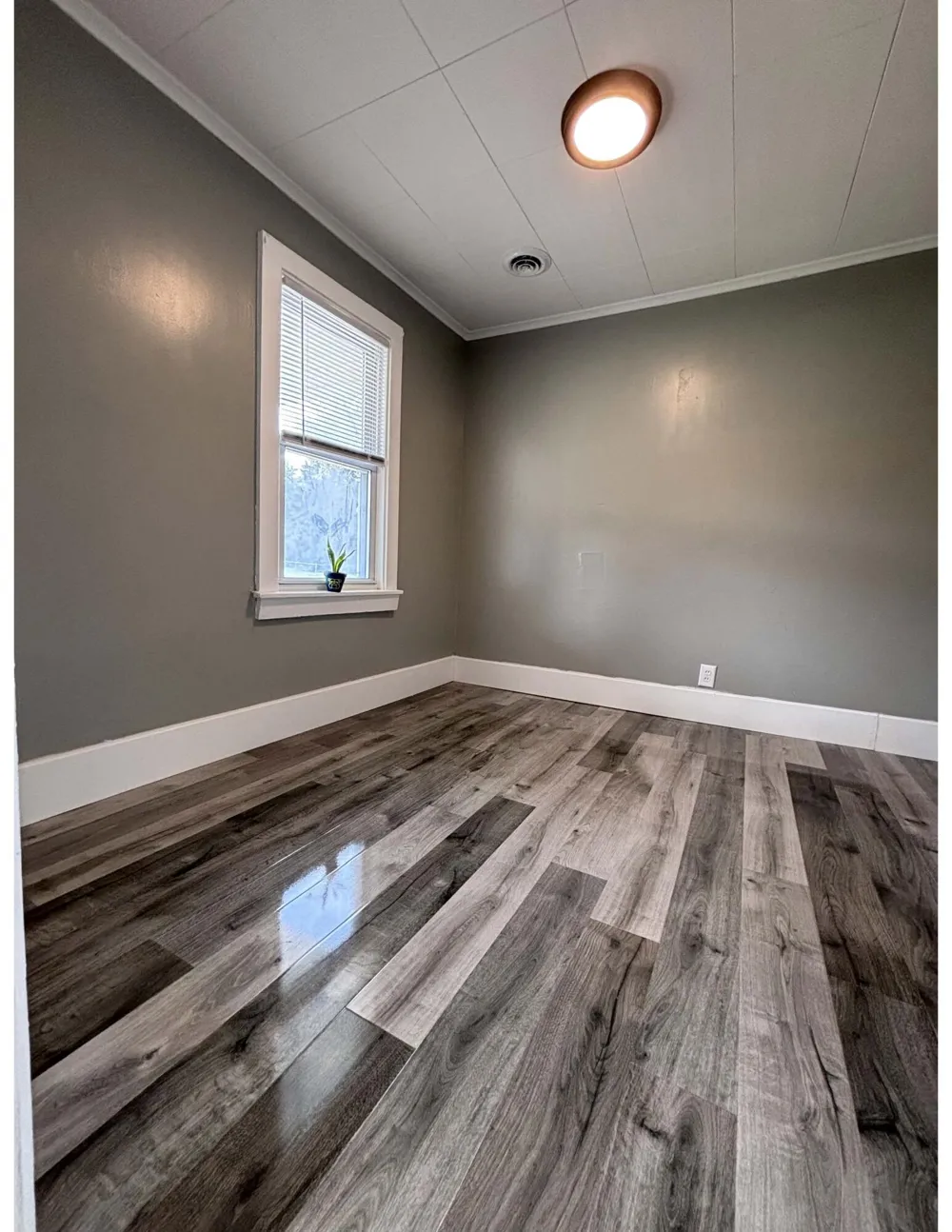 23384 Tawas Avenue Hazel Park City, MI 48030