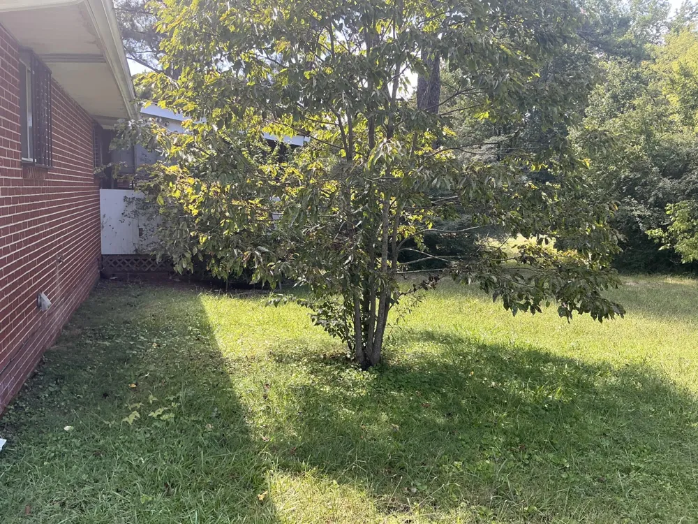 5507 Upshaw Drive Chattanooga, TN 37416