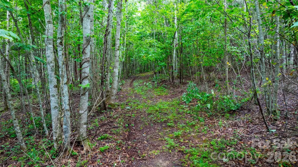99999 Bob Barnwell Road Fletcher, NC 28732