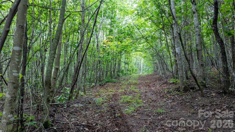 99999 Bob Barnwell Road Fletcher, NC 28732