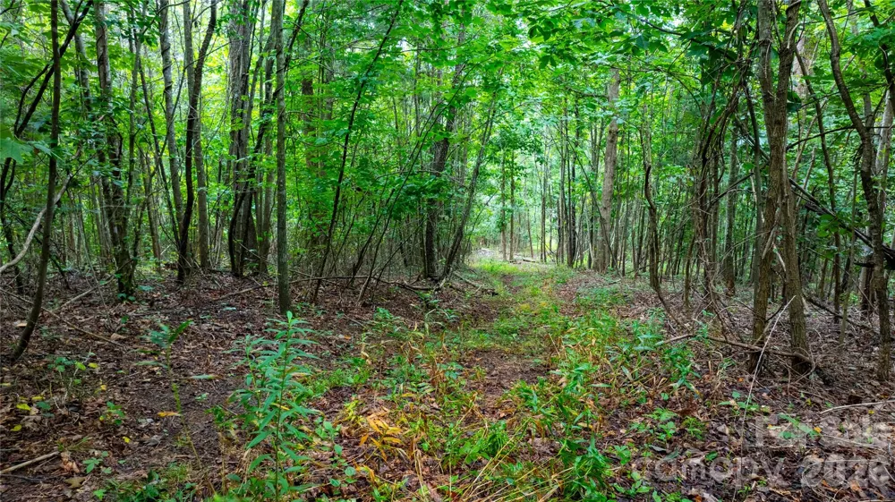 99999 Bob Barnwell Road Fletcher, NC 28732