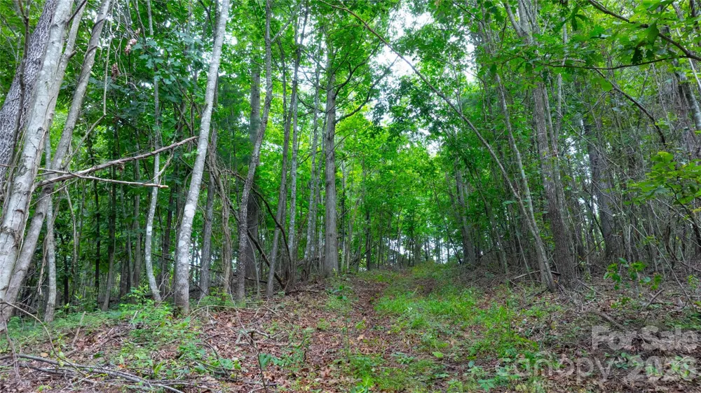 99999 Bob Barnwell Road Fletcher, NC 28732
