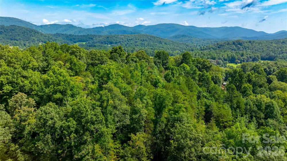 99999 Bob Barnwell Road Fletcher, NC 28732