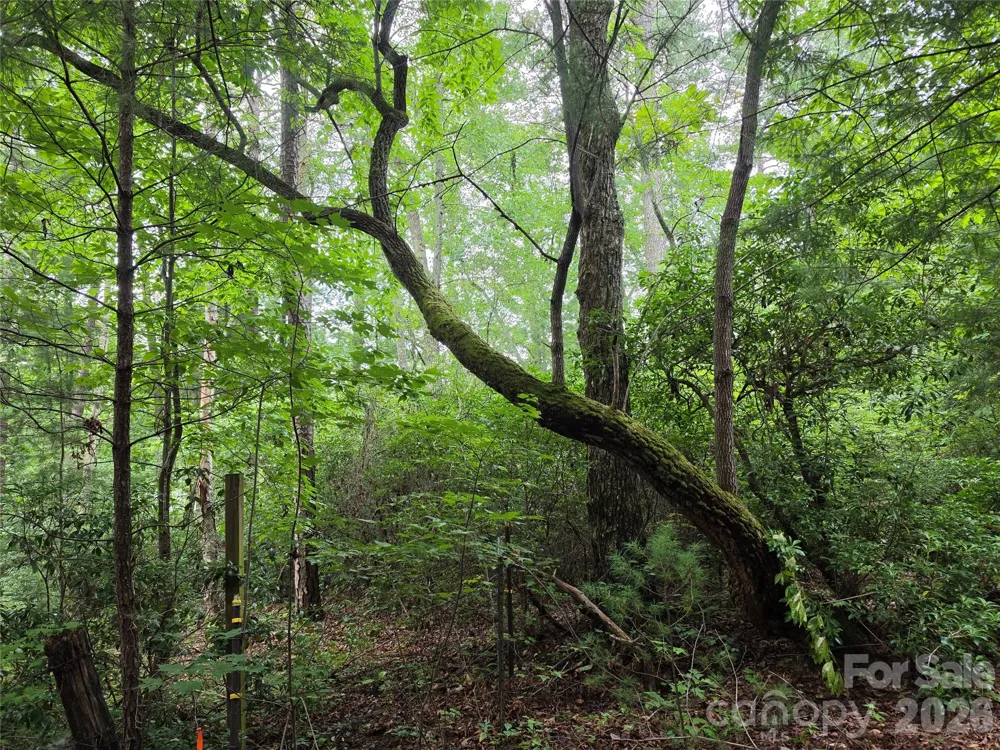 99999 Bob Barnwell Road Fletcher, NC 28732