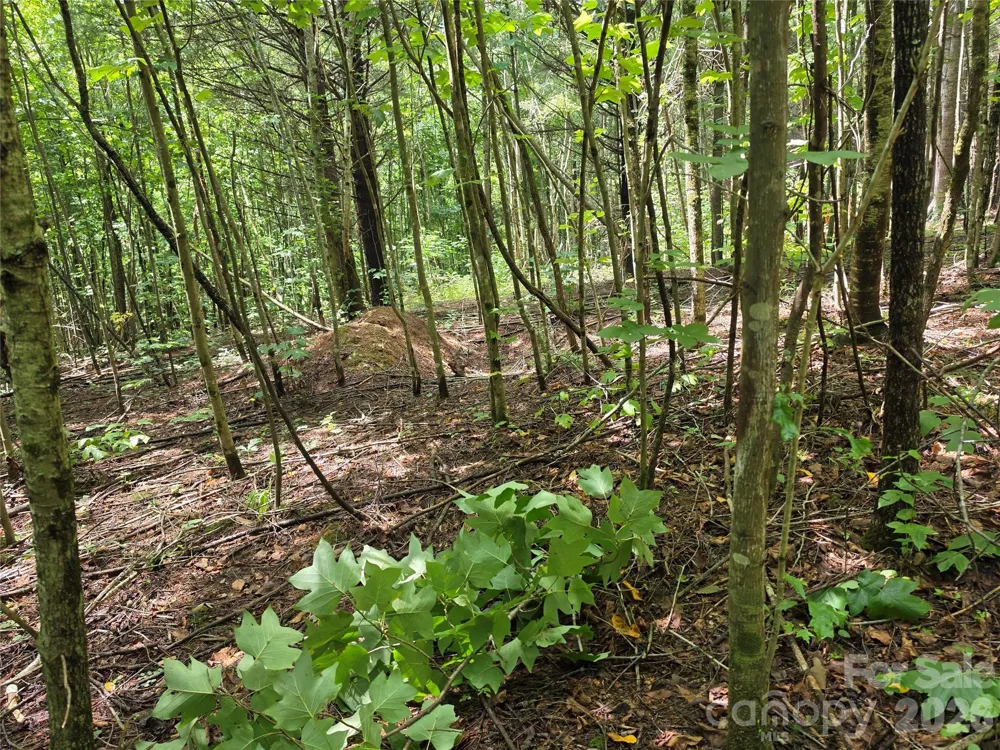 99999 Bob Barnwell Road Fletcher, NC 28732