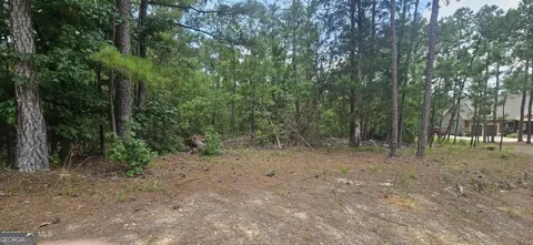 LOT 2 Amelia DR