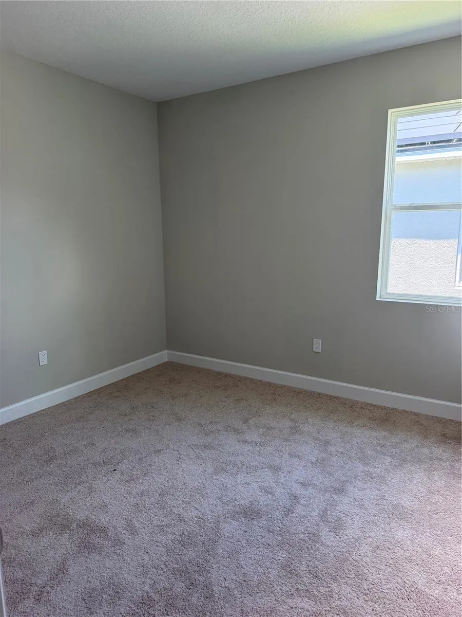 3684 ROLLIN O LANE Apopka, FL 32703
