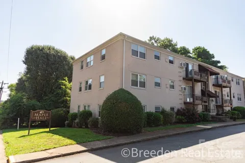 239 Maple Street