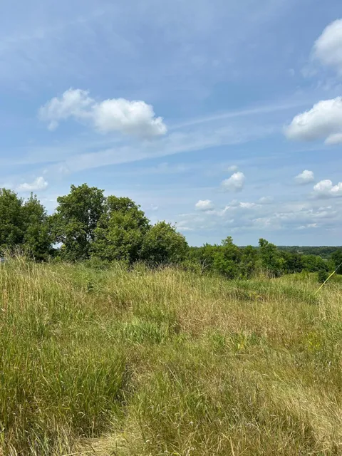 11705 County Highway 8