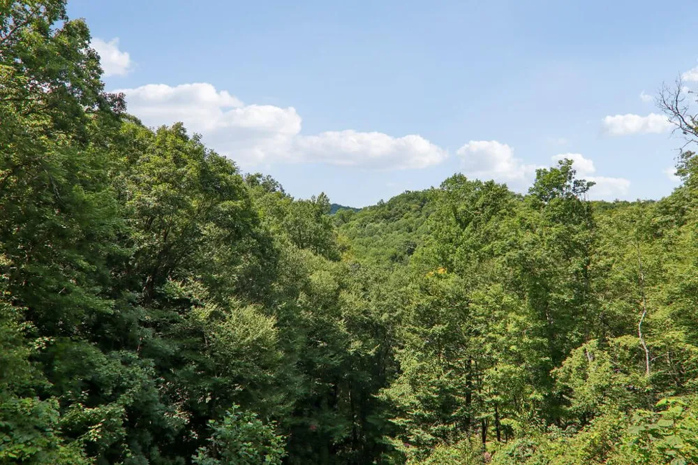 Nellie Hazel Dr Bryson City, NC 28713