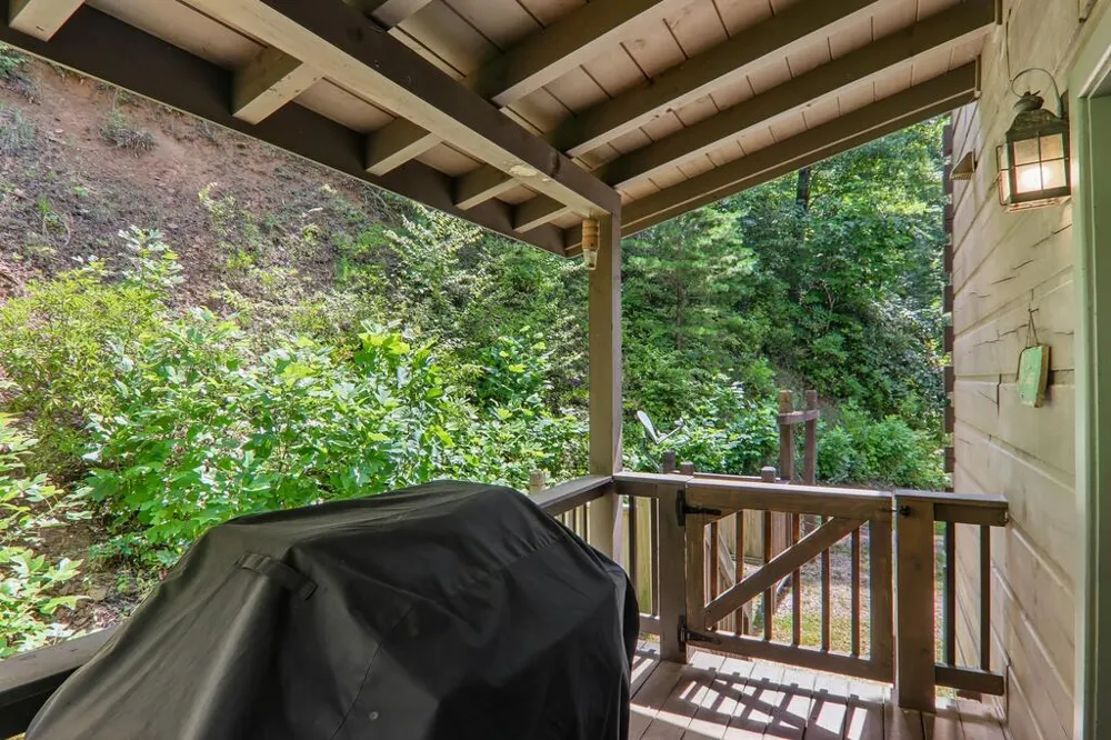 Nellie Hazel Dr Bryson City, NC 28713