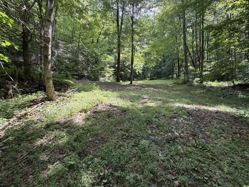 Nellie Hazel Dr Bryson City, NC 28713