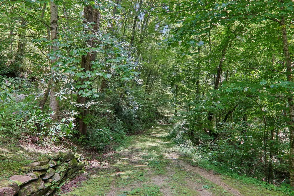 Nellie Hazel Dr Bryson City, NC 28713