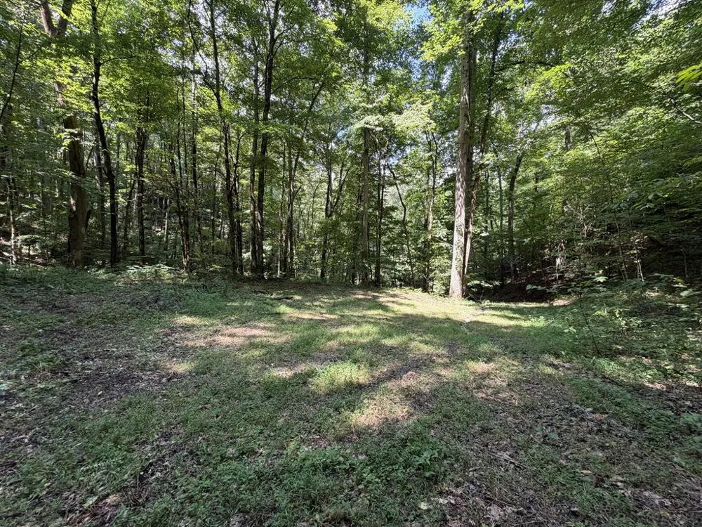 Nellie Hazel Dr Bryson City, NC 28713