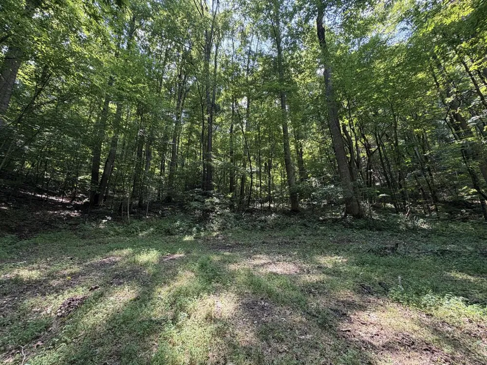 Nellie Hazel Dr Bryson City, NC 28713