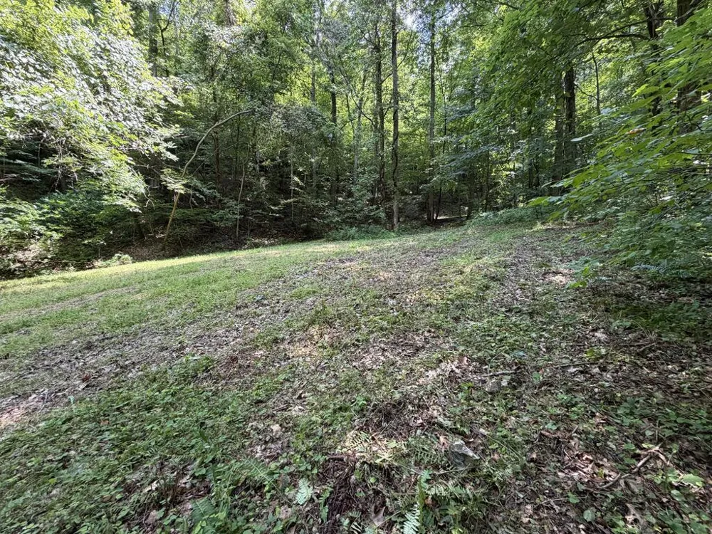Nellie Hazel Dr Bryson City, NC 28713