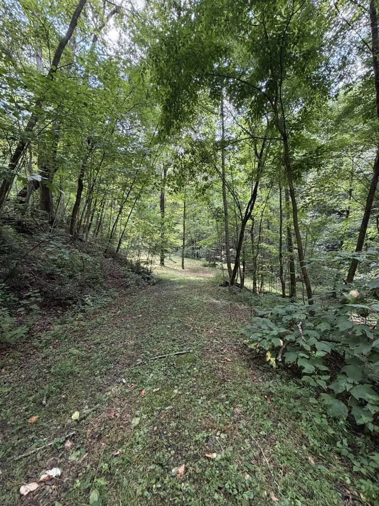 Nellie Hazel Dr Bryson City, NC 28713