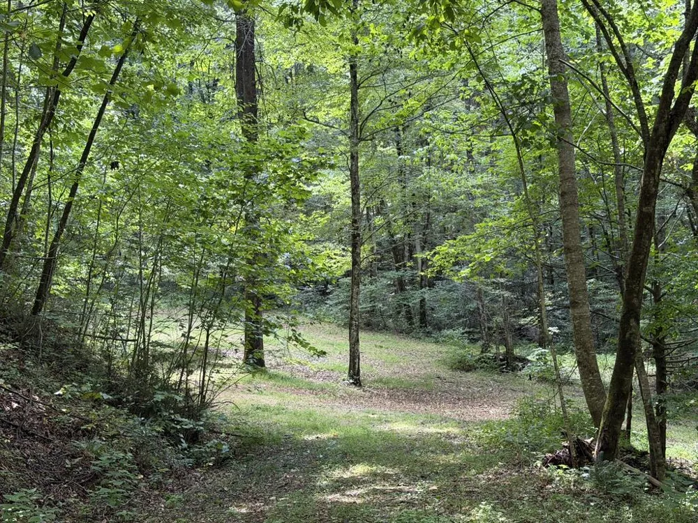 Nellie Hazel Dr Bryson City, NC 28713