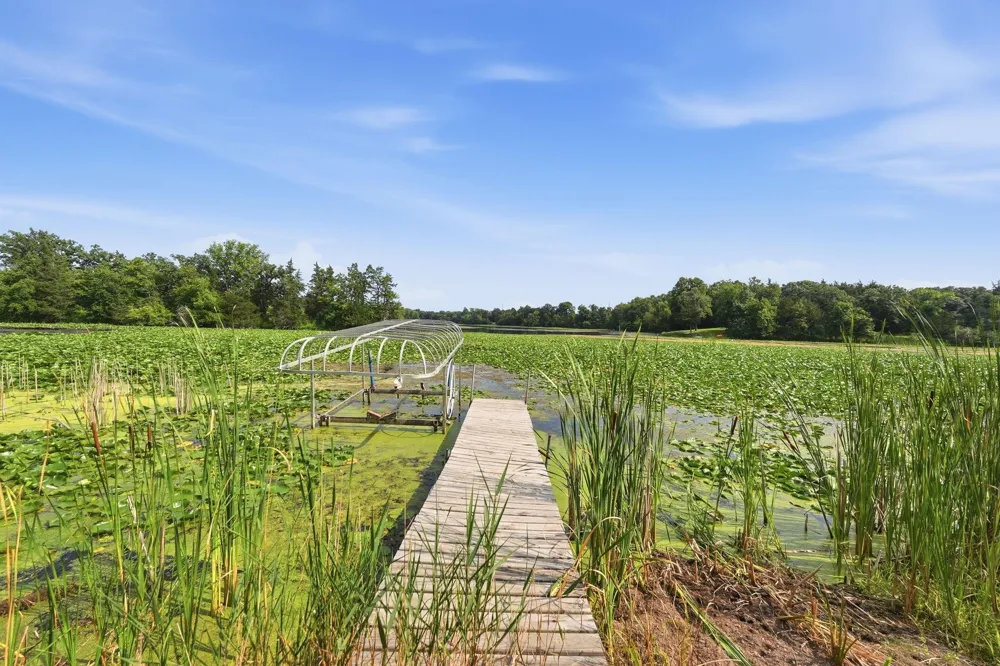8382 198th Avenue NE New London, MN 56273