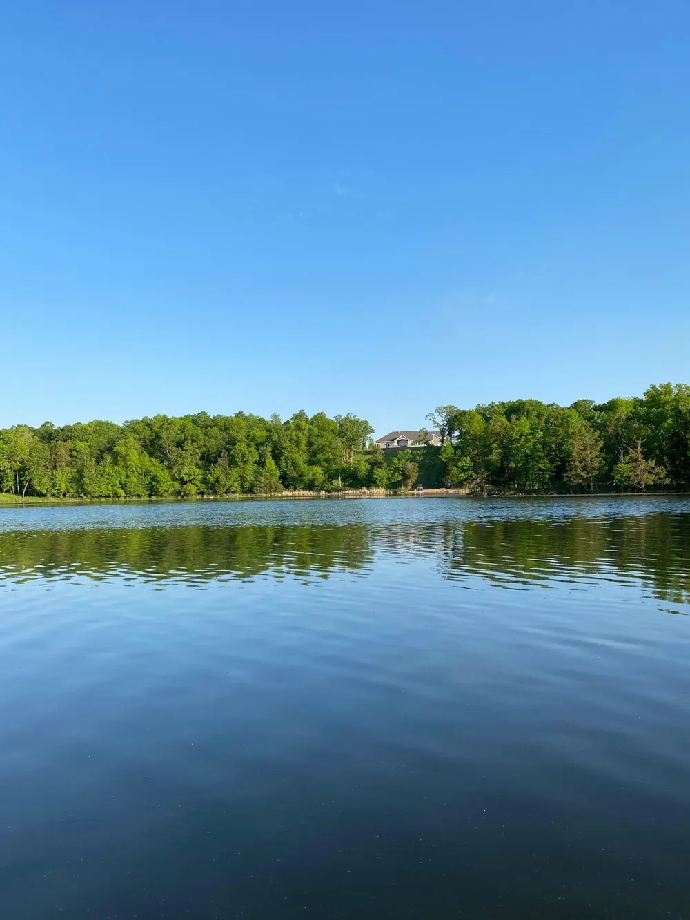 8382 198th Avenue NE New London, MN 56273