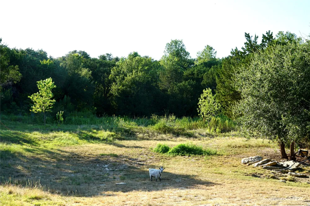 1394 County Road 313 Spur Glen Rose, TX 76043