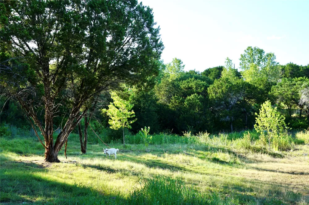 1394 County Road 313 Spur Glen Rose, TX 76043