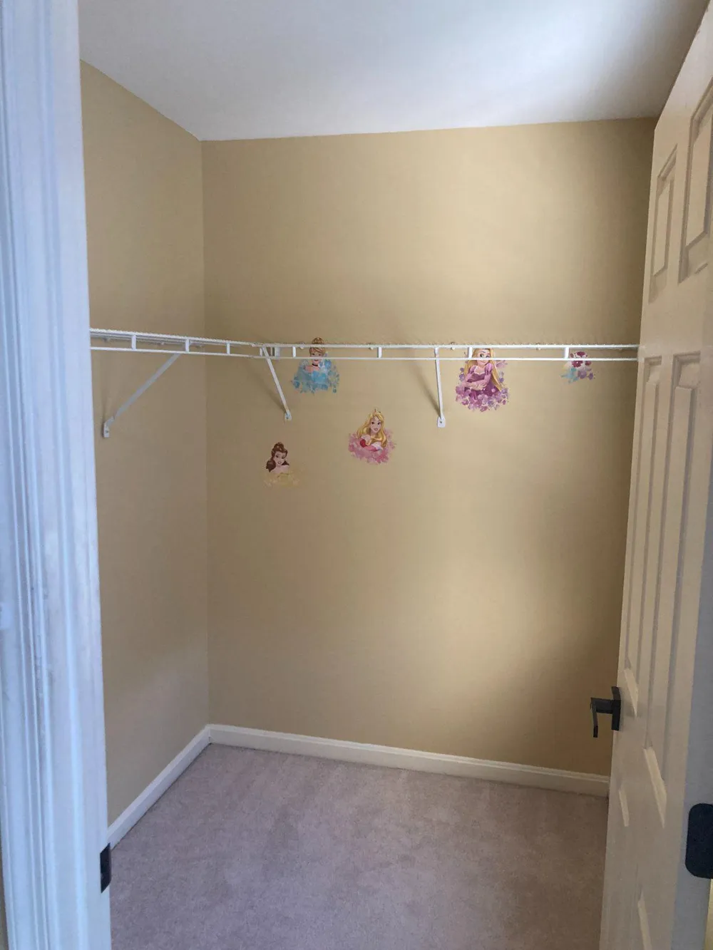 11102 SPRING MEADOW BOULEVARD Fredericksburg, VA 22407