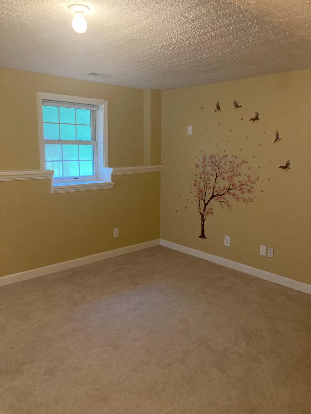 11102 SPRING MEADOW BOULEVARD Fredericksburg, VA 22407