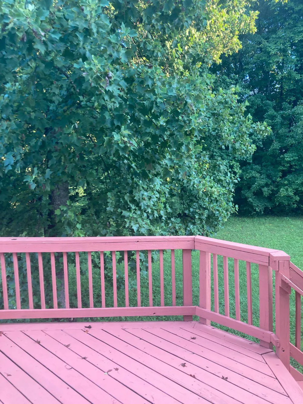 11102 SPRING MEADOW BOULEVARD Fredericksburg, VA 22407