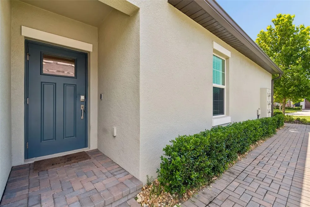 16842 FORGE SURF STREET Land O Lakes, FL 34638