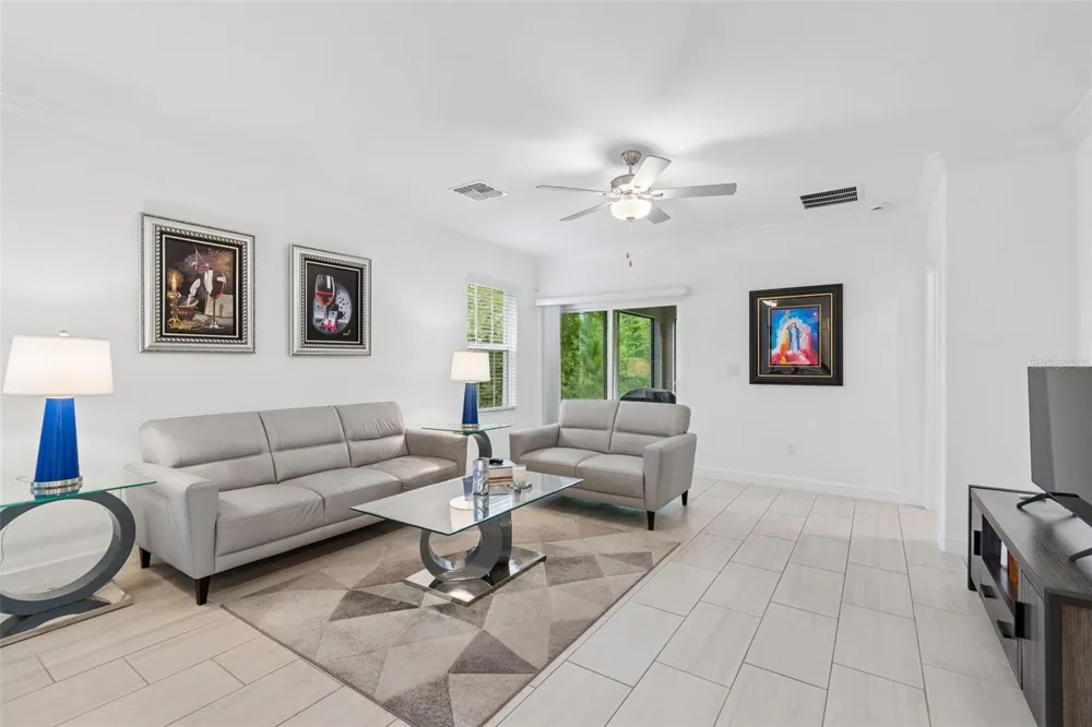 16842 FORGE SURF STREET Land O Lakes, FL 34638