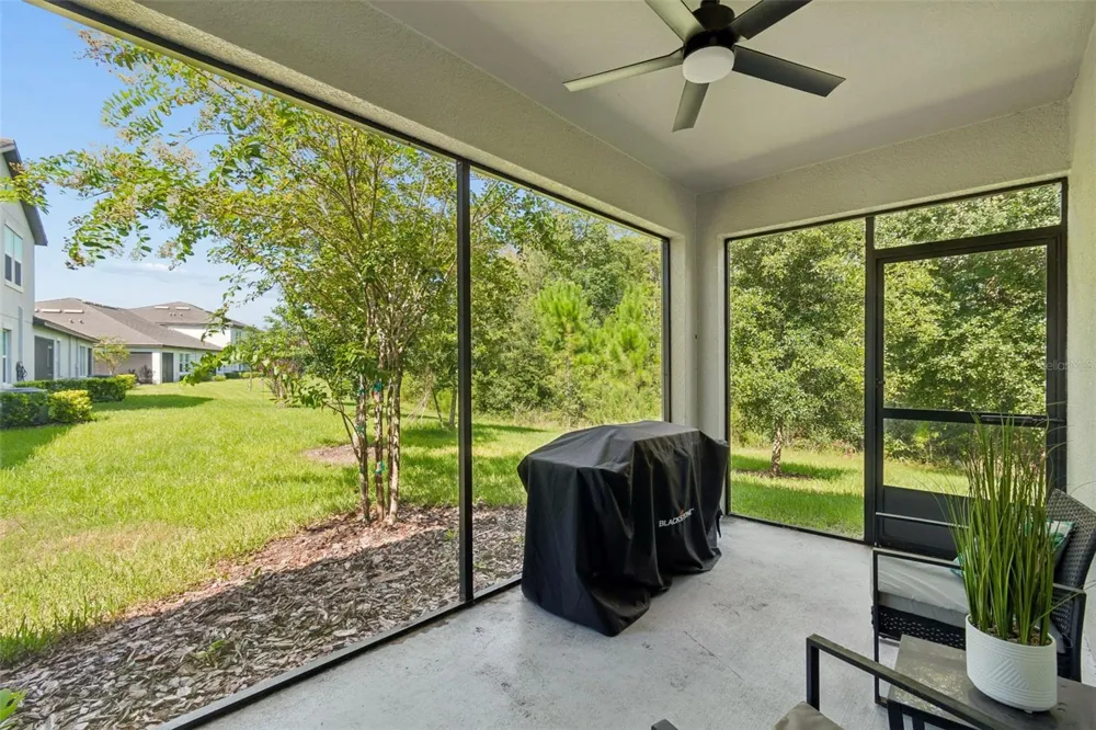 16842 FORGE SURF STREET Land O Lakes, FL 34638