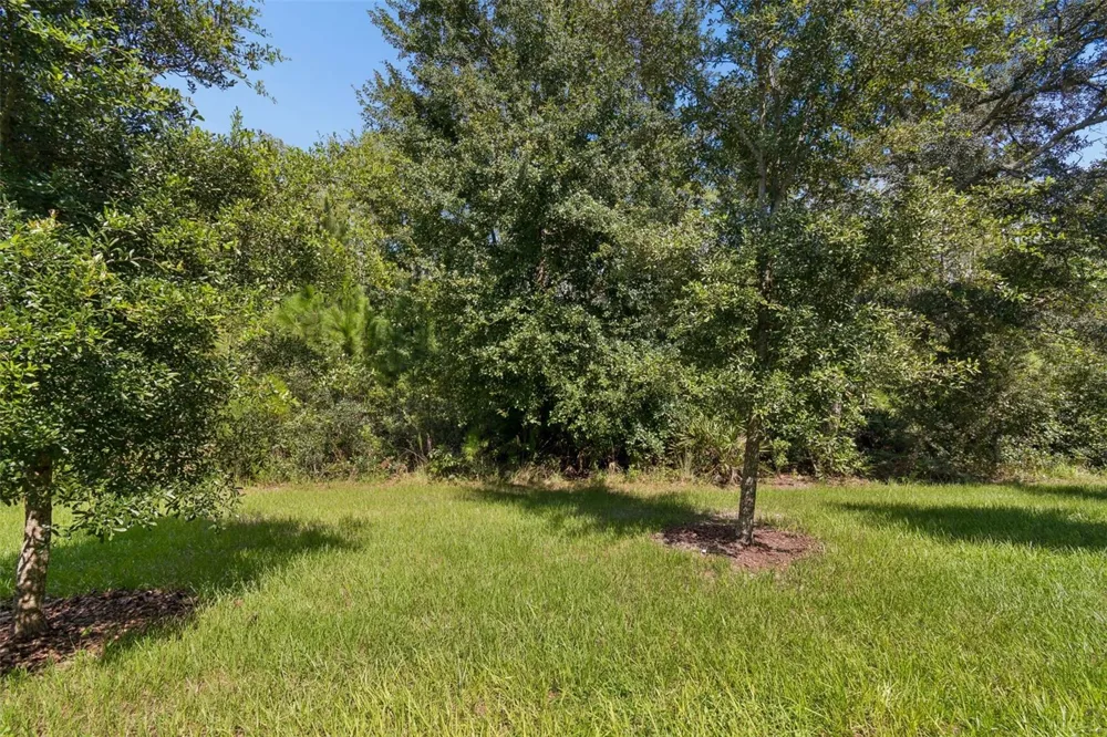 16842 FORGE SURF STREET Land O Lakes, FL 34638