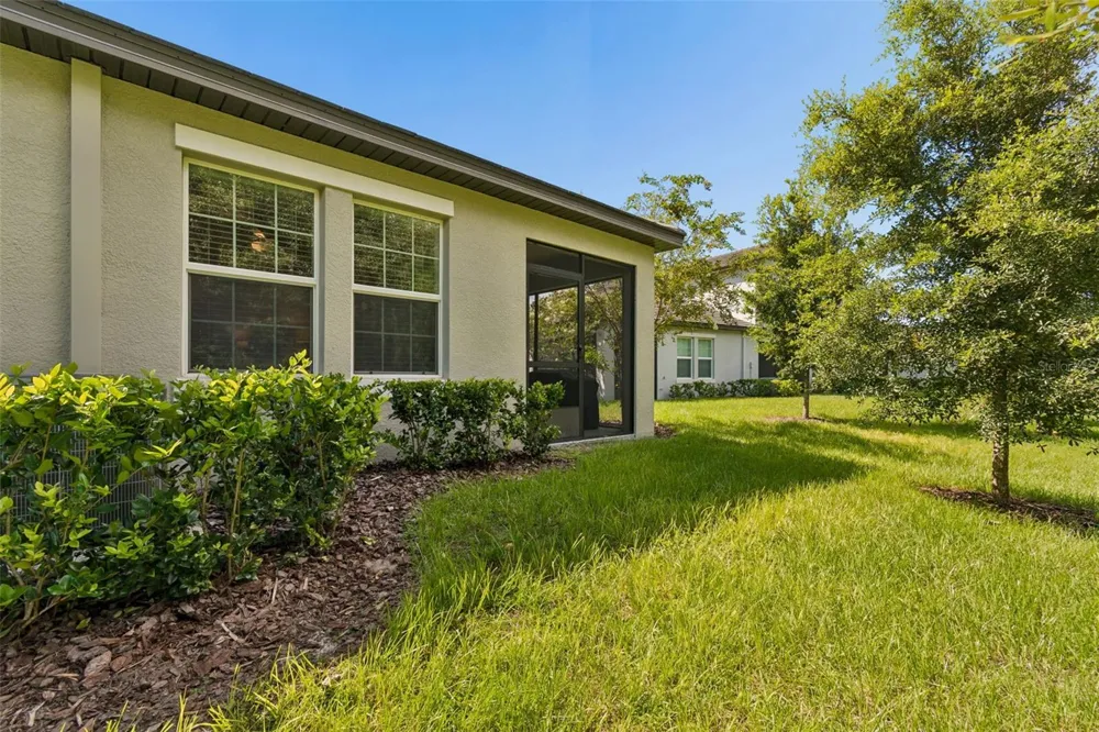16842 FORGE SURF STREET Land O Lakes, FL 34638
