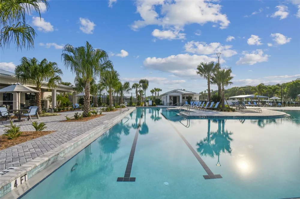 16842 FORGE SURF STREET Land O Lakes, FL 34638